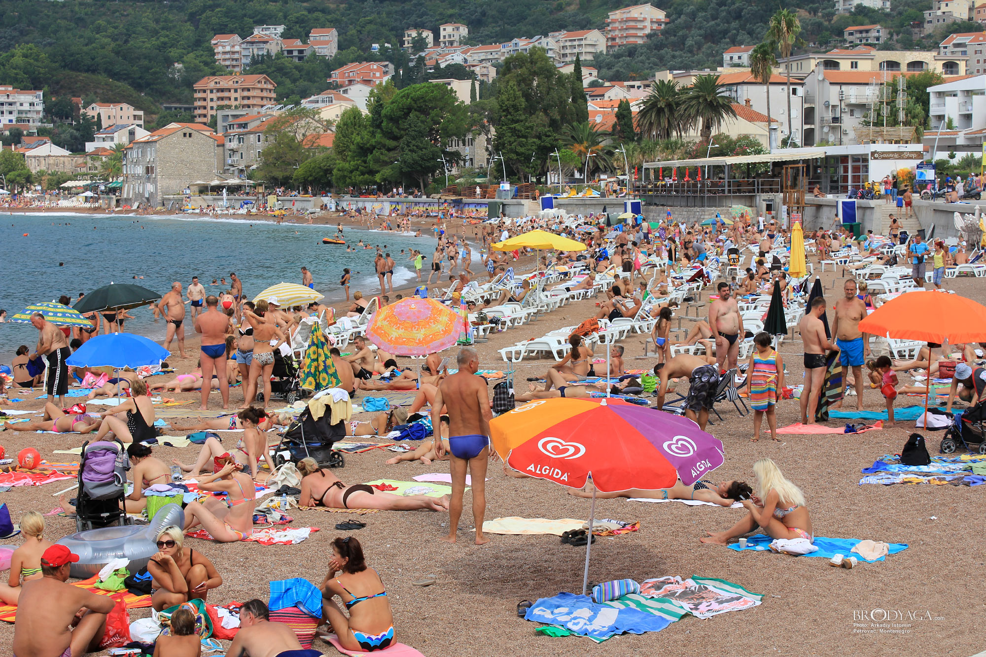 Petrovac (Петровац)